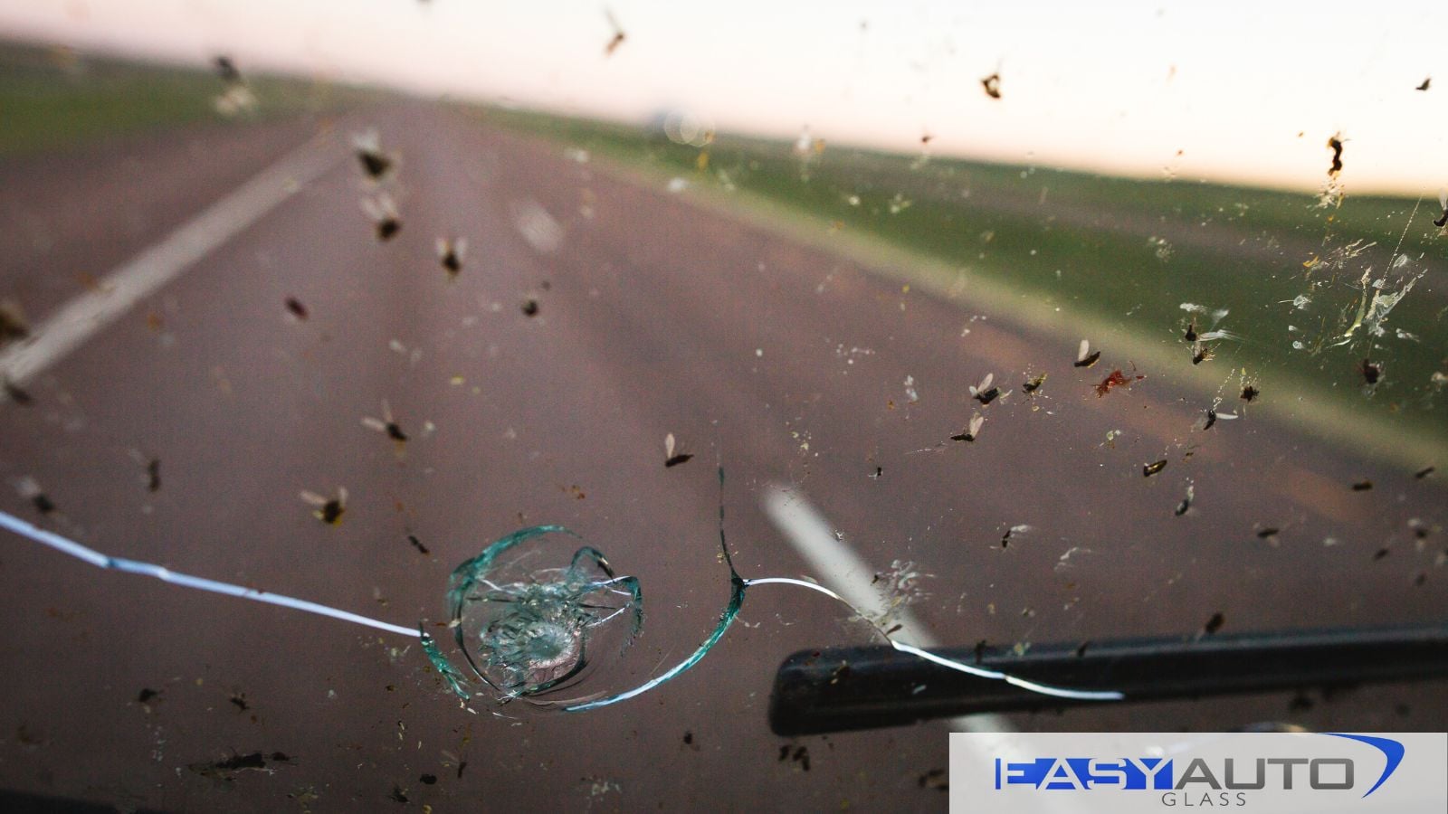 How to Identify When Your Windshield Needs Repair or Replacement