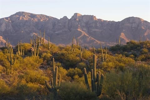 Oro Valley Surrounding Landscape